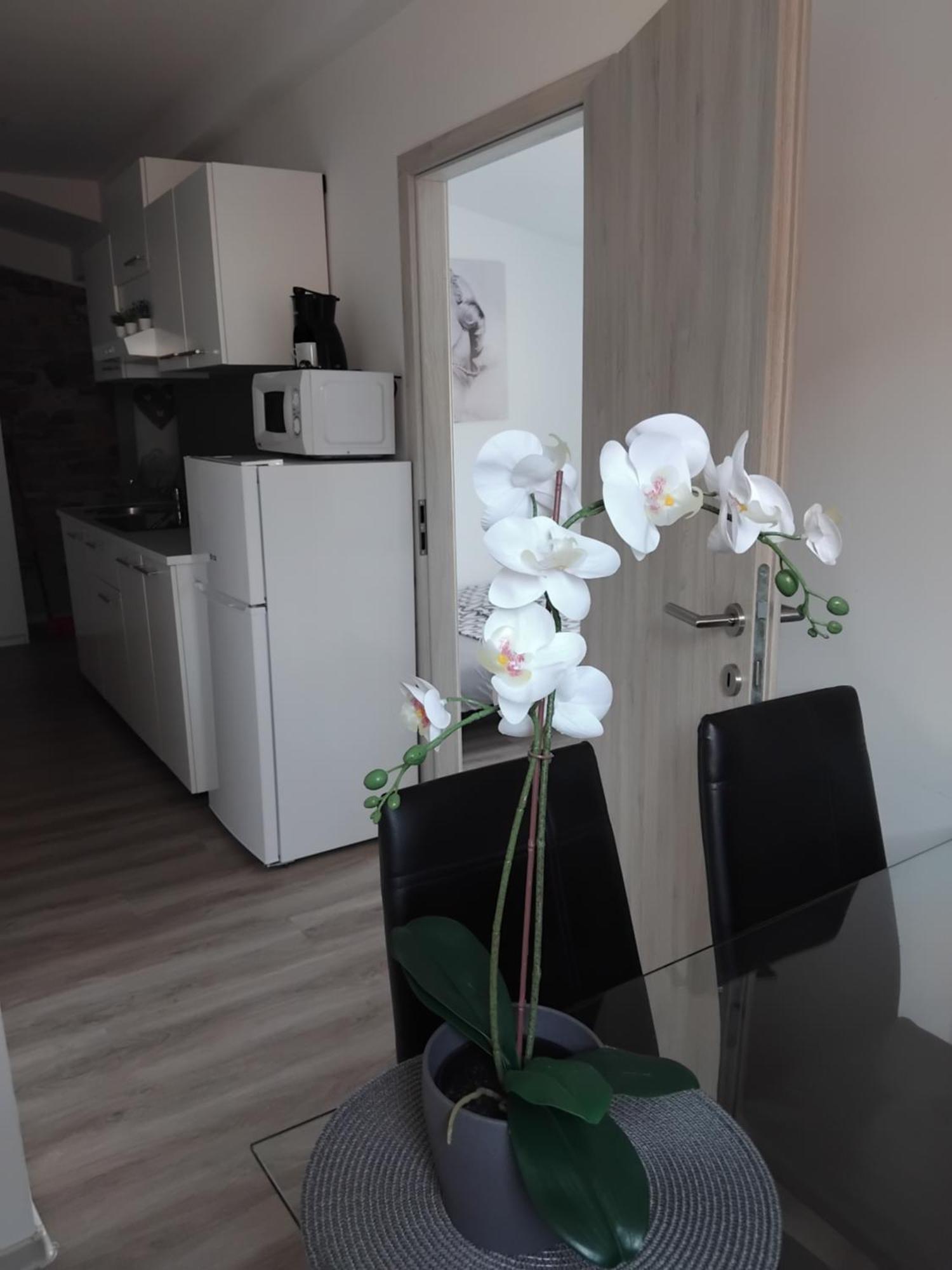 Apartmaja Eva&Pia コペル エクステリア 写真